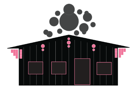 Figure 9: Question 12 - Have you experienced mould growth in this house? (n=41)